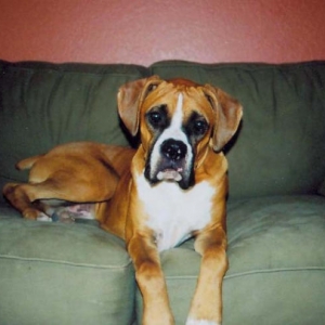 Handsome Mackenzie