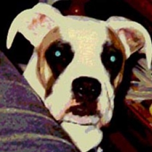 Chopper
