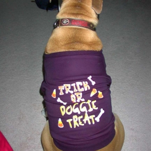 Dressed for Halloween