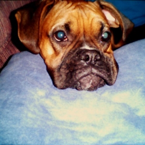 The Face