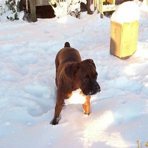 1st snow