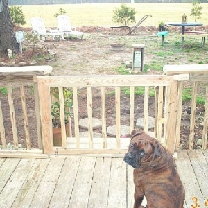 I dont like this new playpen