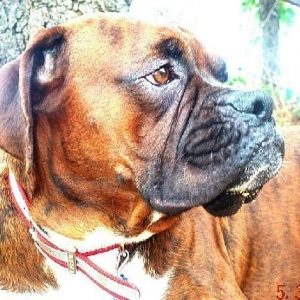 Profile