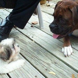 my little friend