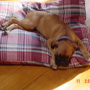 Sooo Tired