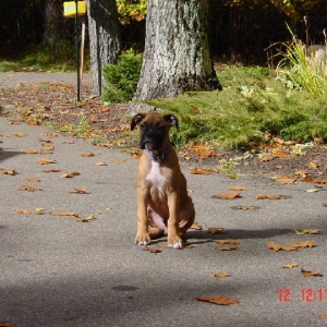Attention!
