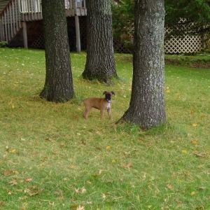 On the prowl...