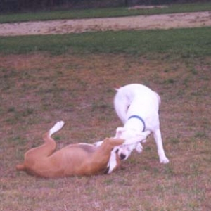 Playing with his girlfriend Zoe