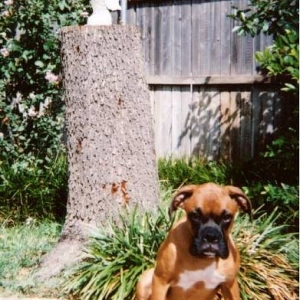 No, I will not sit up straight for another picture!!