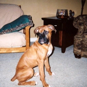 Ain't I good lookin'??