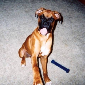 Stick out your tongue and say AHHHHHH!!