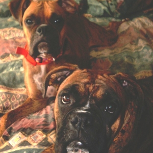 Mommys girls