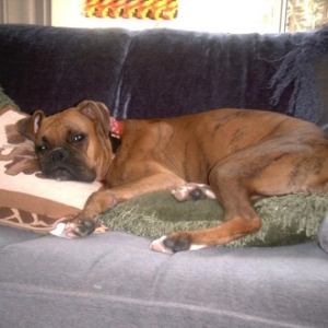 Xanadu Nappin