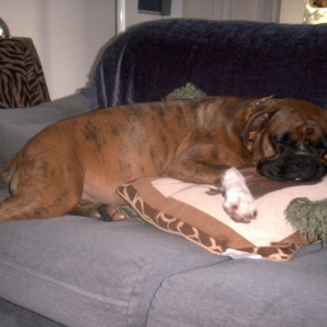 Xena Nappin