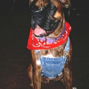 Farmer Xena
