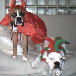Halloween 2002