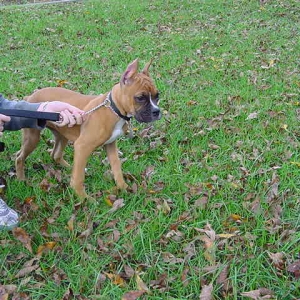 Mom's on a leash now.