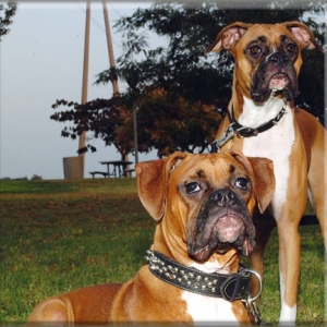 Cherokee and Apache