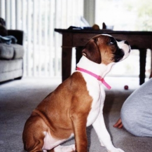 Annie plays with Dad