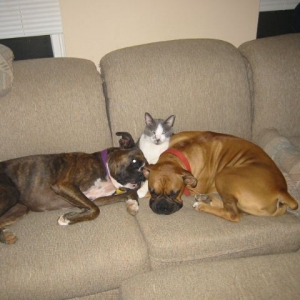 3 Amigos
