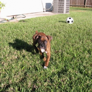 play with me