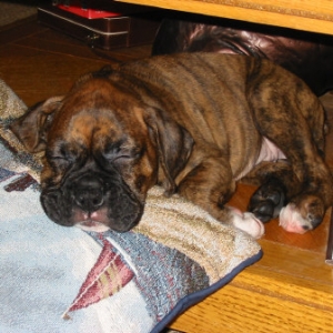 nap time.