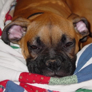Naptime