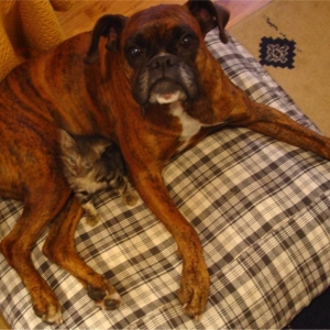 Alice and her new ''boyfriend''