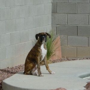 cassius gettin some sun