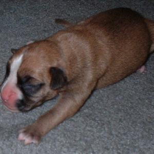 Lani @ 2 days old.