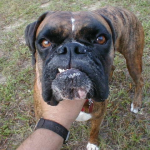 C'mon - Gimme a big kiss!