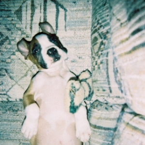 Ok just one more before bed