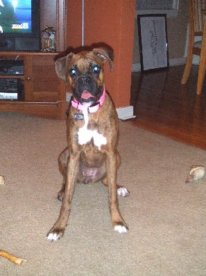 1 year old