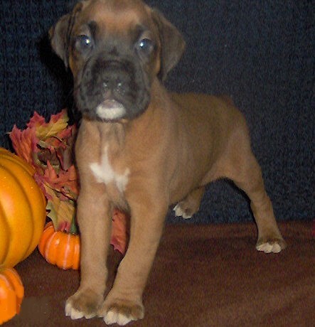 10/14