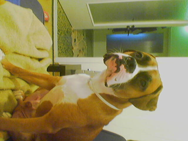 10 month old Keeroff