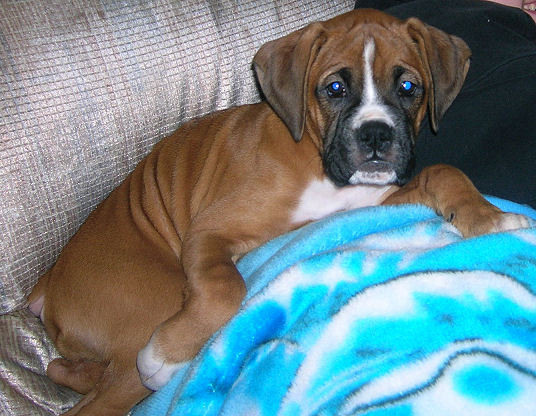 10 weeks old already!