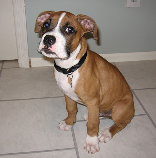 10 Weeks