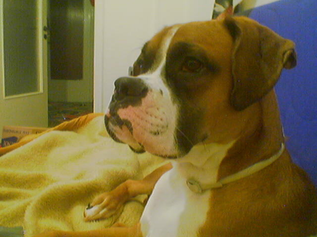 10months old