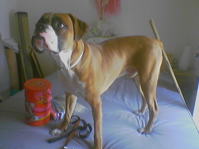 11 months old