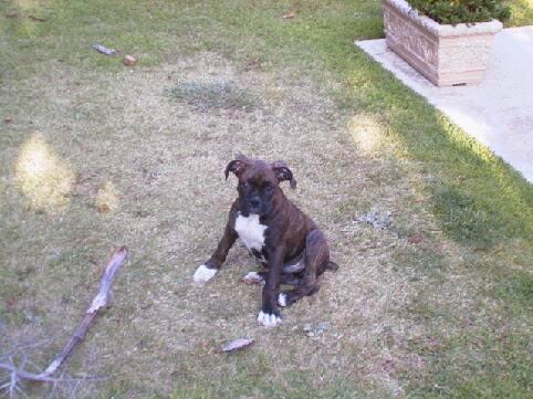 11 weeks today!
