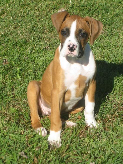 11 weeks