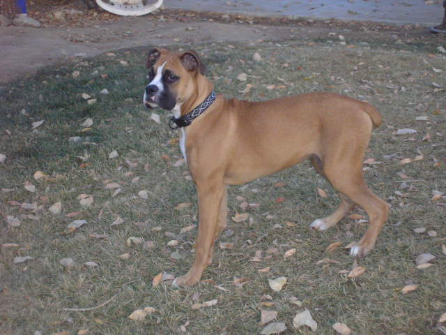 12/9/2006