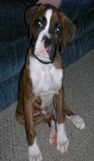 12 weeks