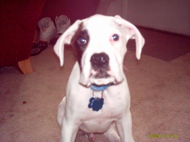 13 weeks old