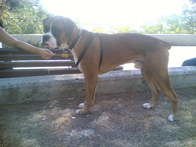 14 month old baby