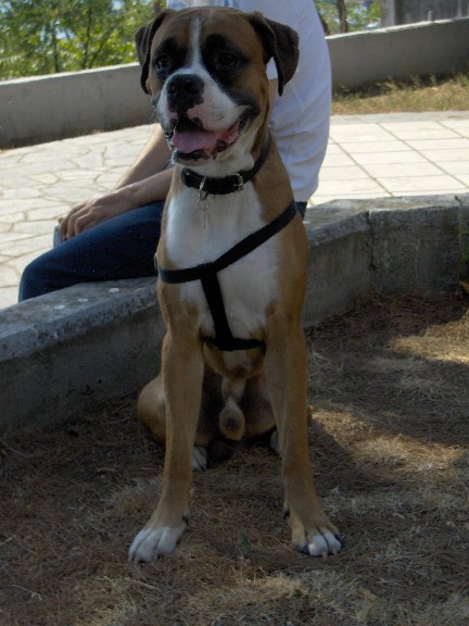 14 months old