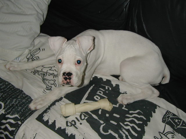 14 Weeks