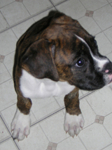 14 weeks