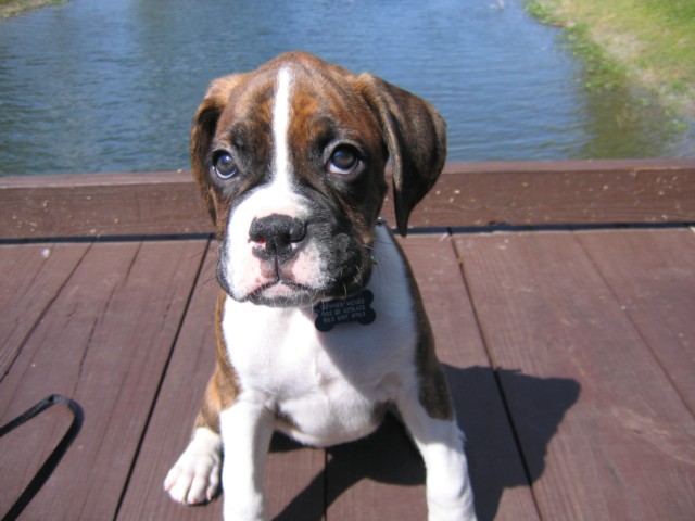 14 WEEKS
