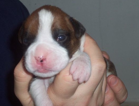 15 days old!
